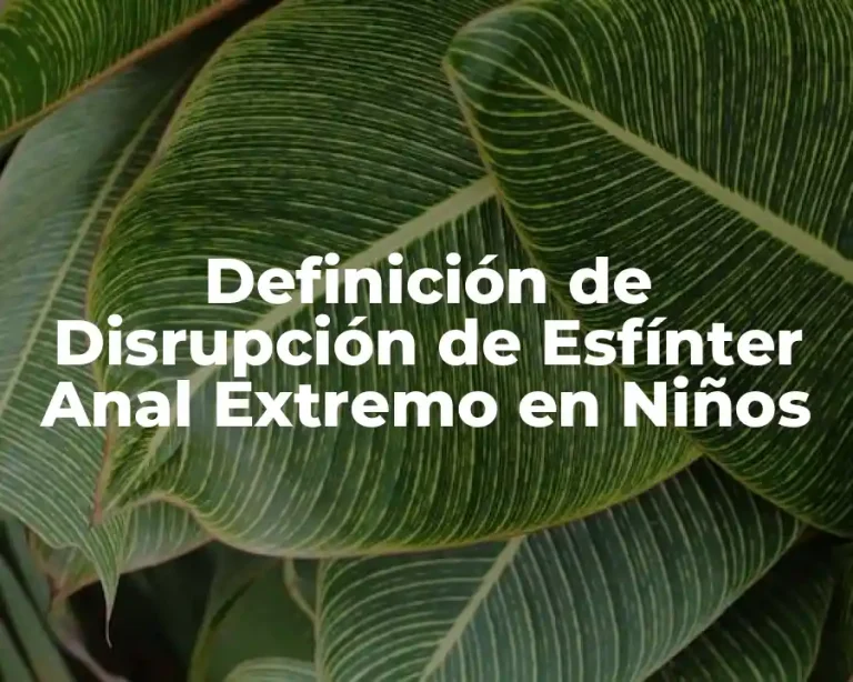 Definición de Disrupción de Esfínter Anal Extremo en Niños