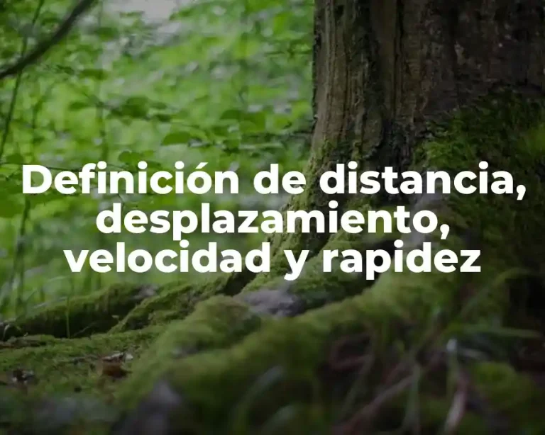 Definición de distancia, desplazamiento, velocidad y rapidez