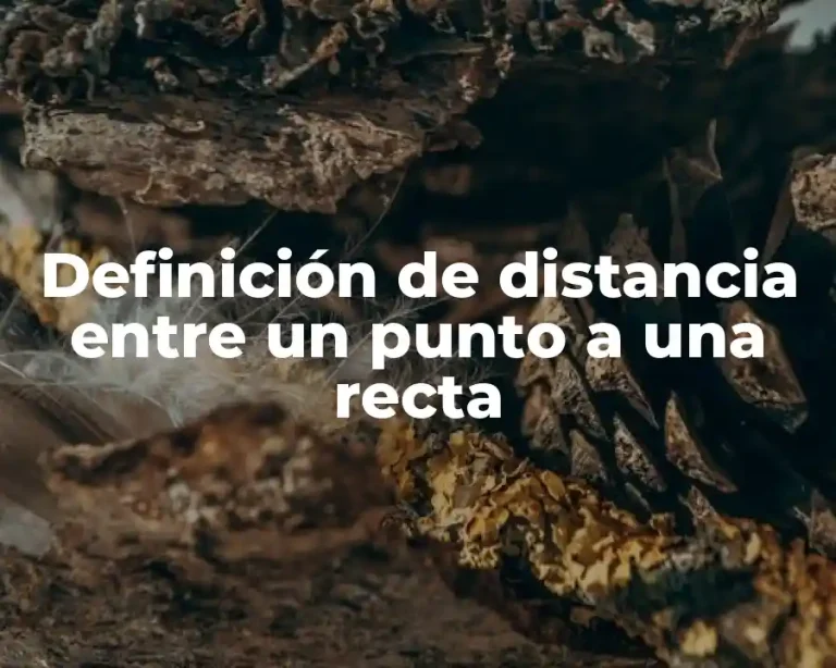 Definición de distancia entre un punto a una recta
