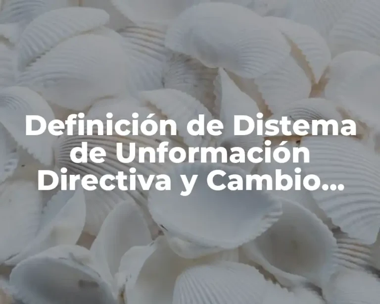 Definición de Distema de Unformación Directiva y Cambio Estratégico