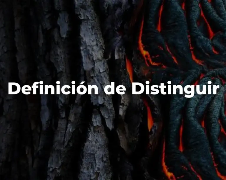 Definición de Distinguir