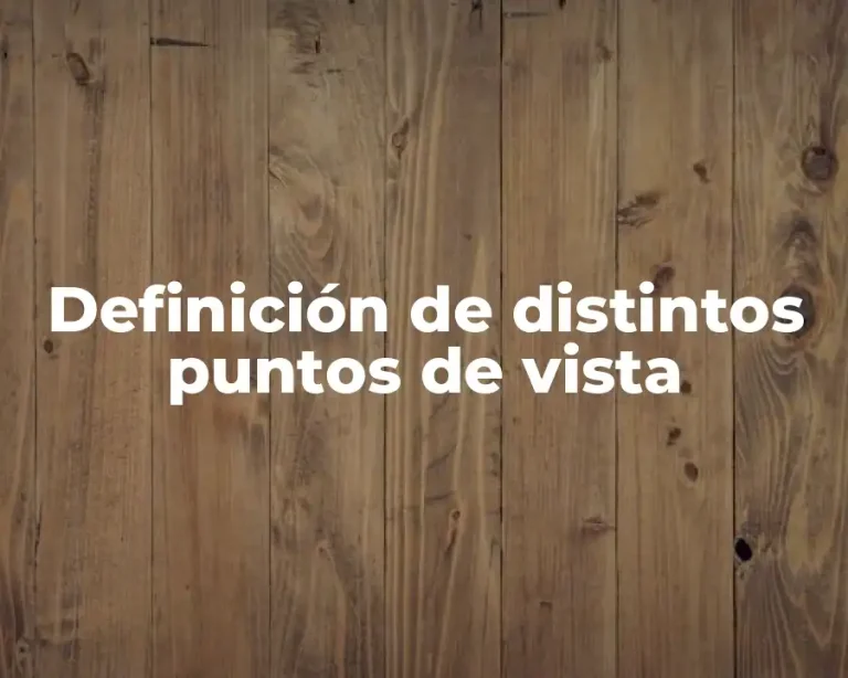 Definición de distintos puntos de vista