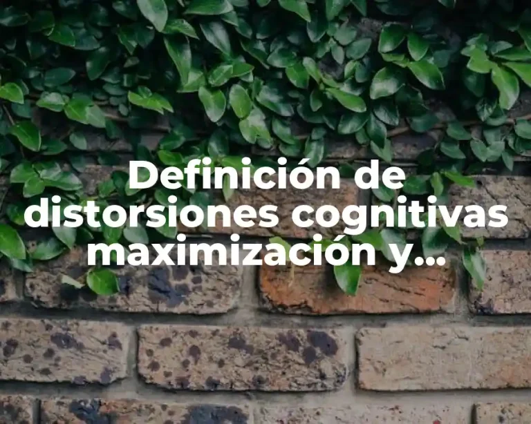 Definición de distorsiones cognitivas maximización y minimización