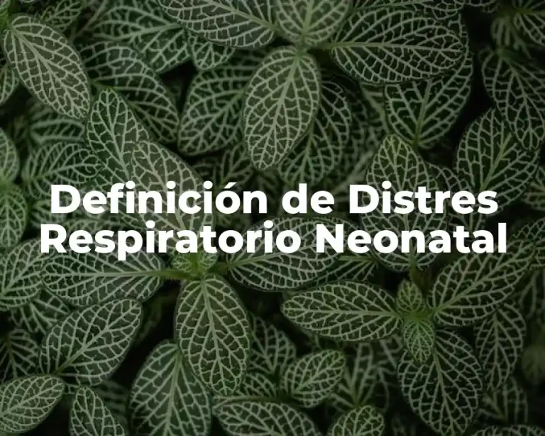 Definición de Distres Respiratorio Neonatal