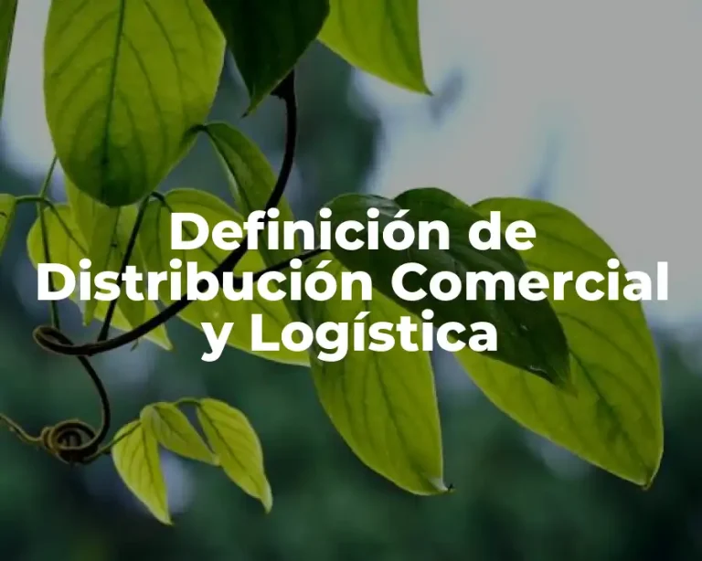 Definición de Distribución Comercial y Logística