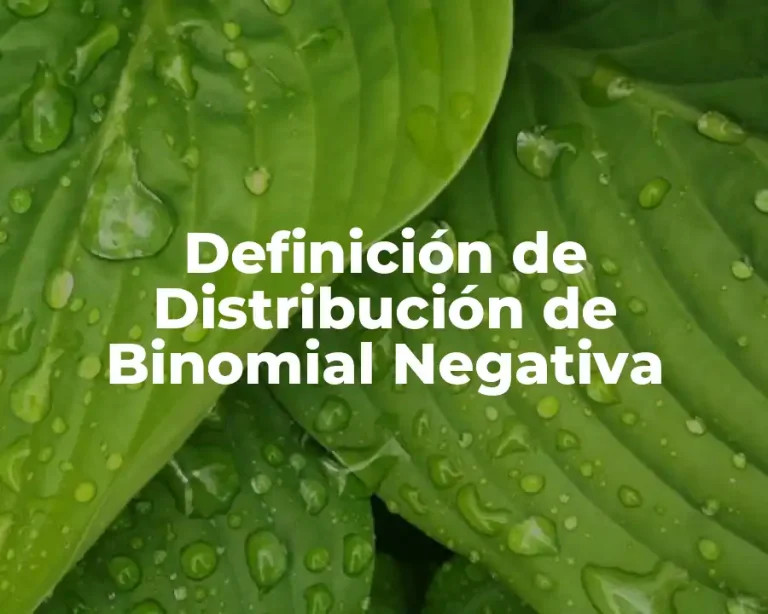 Definición de Distribución de Binomial Negativa