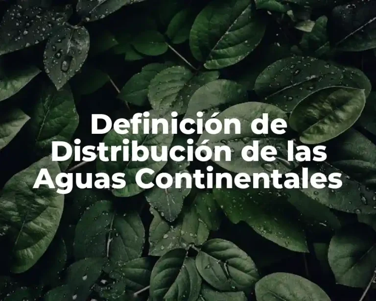 Definición de Distribución de las Aguas Continentales