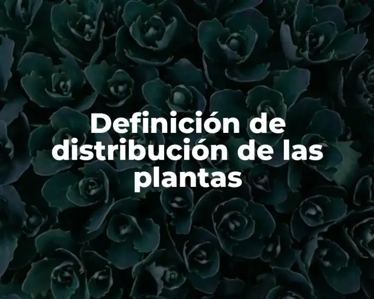 Definición de distribución de las plantas