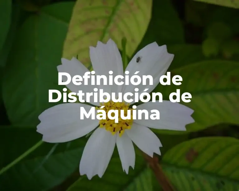Definición de Distribución de Máquina