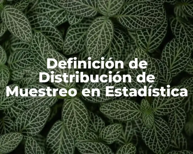 Definición de Distribución de Muestreo en Estadística