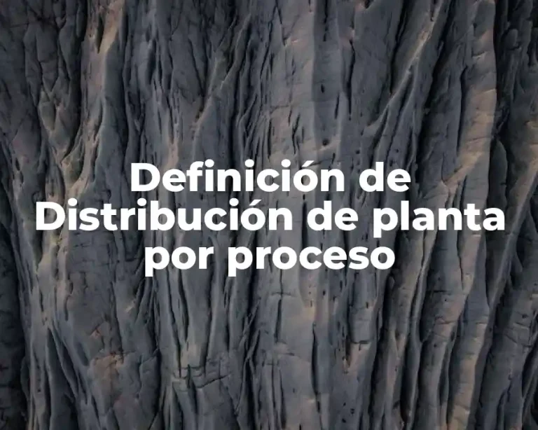 Definición de Distribución de planta por proceso
