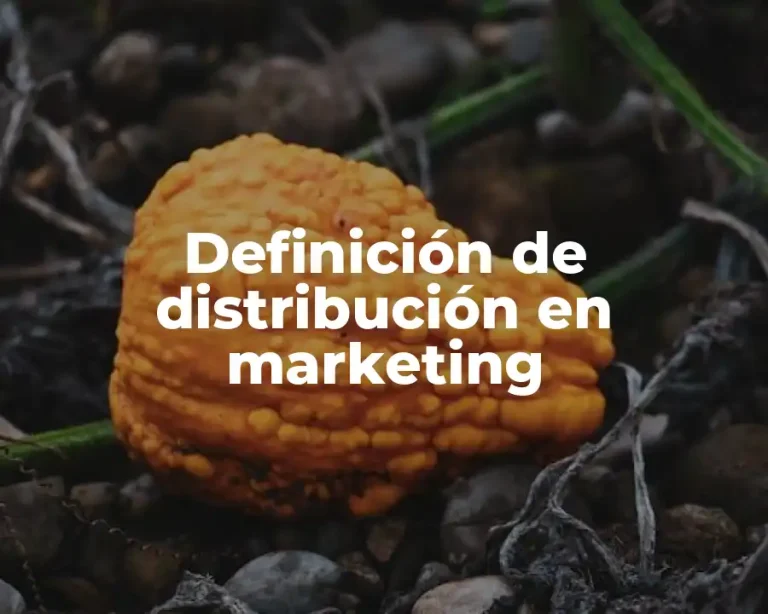 Definición de distribución en marketing
