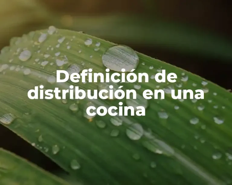 Definición de distribución en una cocina