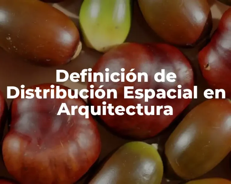 Definición de Distribución Espacial en Arquitectura