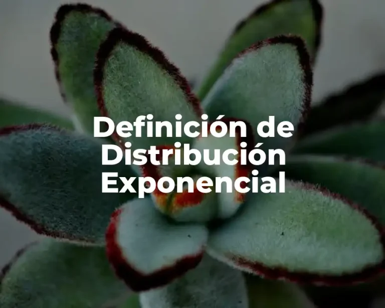 Definición de Distribución Exponencial