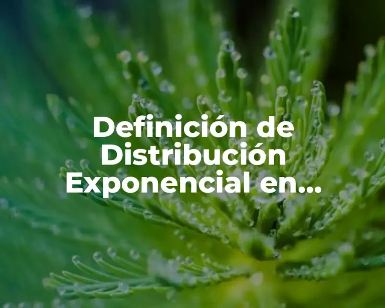 Definición de Distribución Exponencial en Probabilidad y Estadística