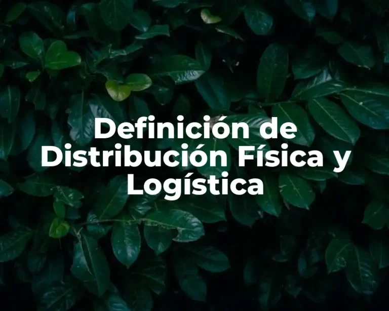 Definición de Distribución Física y Logística