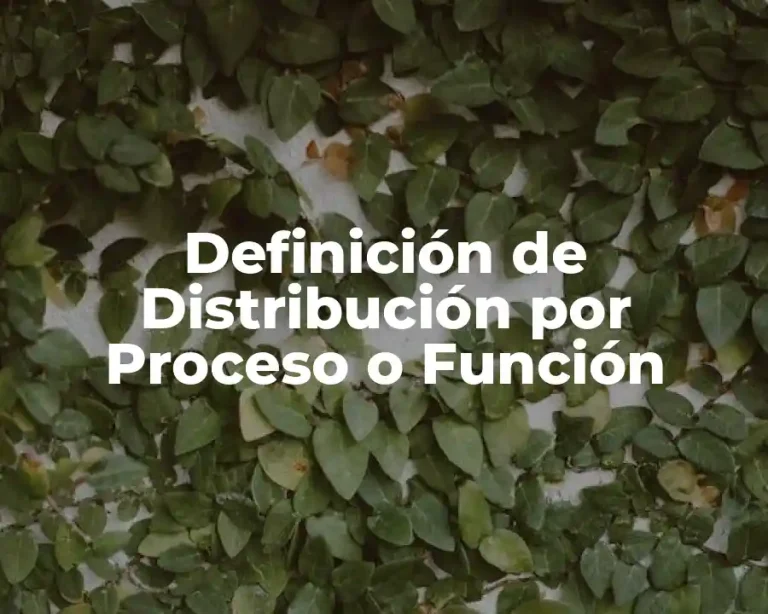 Definición de Distribución por Proceso o Función