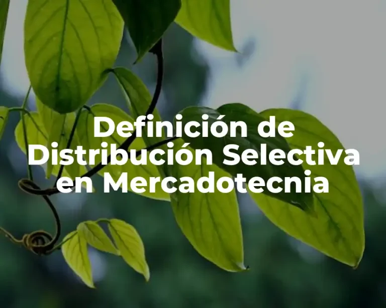 Definición de Distribución Selectiva en Mercadotecnia