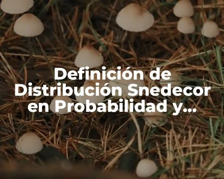 Definición de Distribución Snedecor en Probabilidad y Estadística