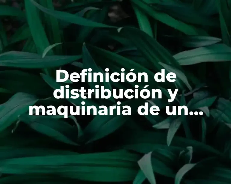Definición de distribución y maquinaria de un restarunate