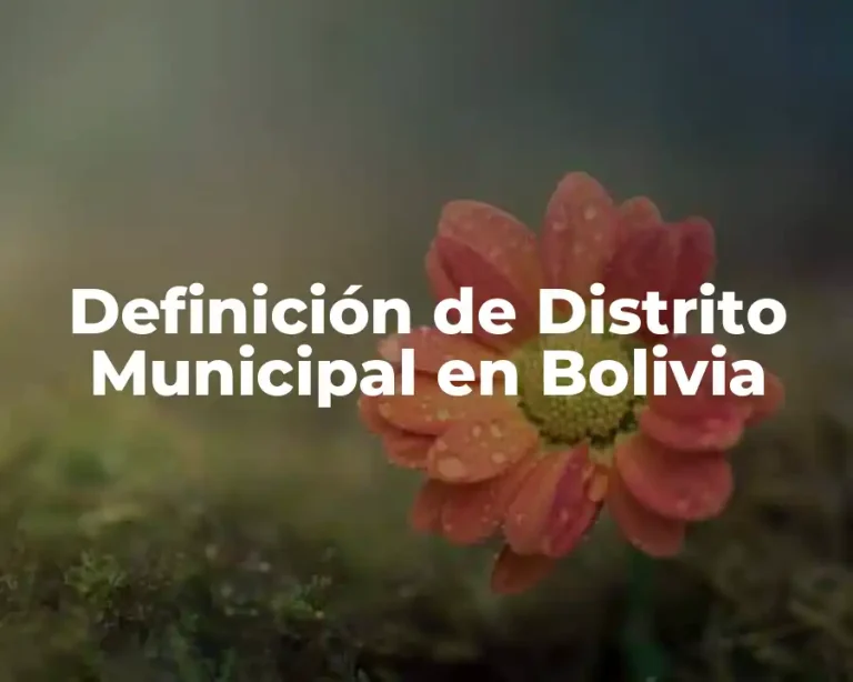 Definición de Distrito Municipal en Bolivia