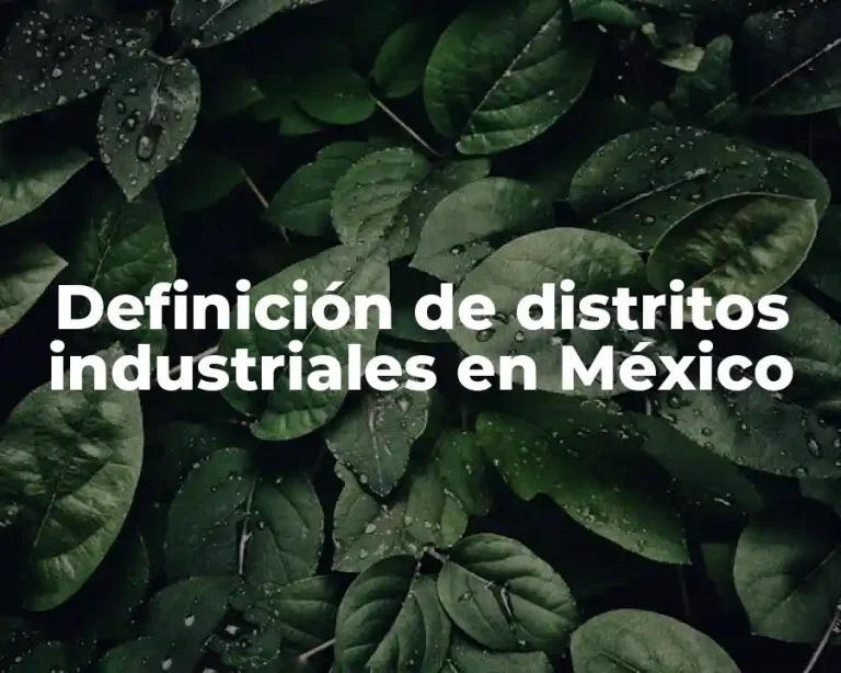 Definición de distritos industriales en México