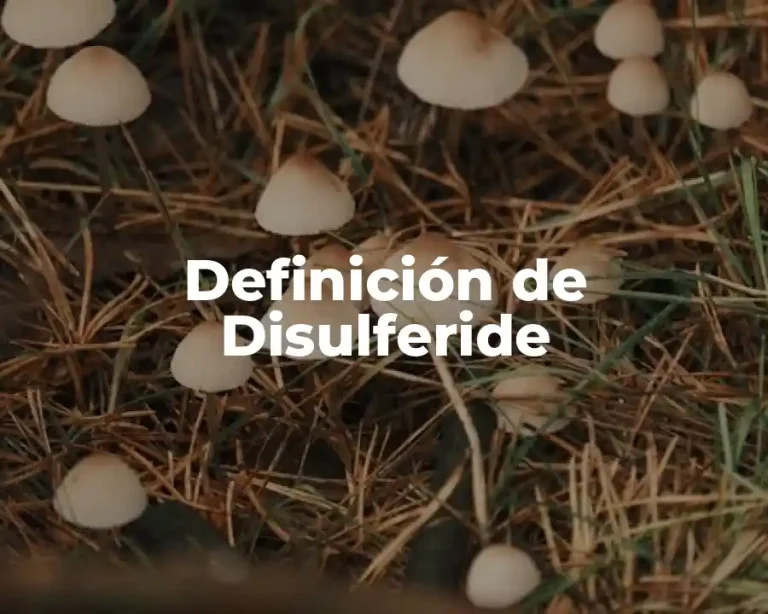 Definición de Disulferide