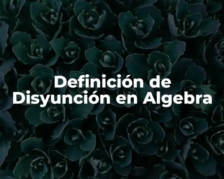 Definición de Disyunción en Algebra