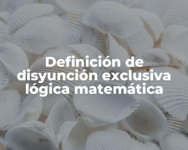 Definición de disyunción exclusiva lógica matemática