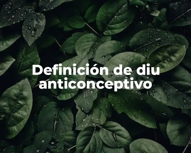 Definición de diu anticonceptivo