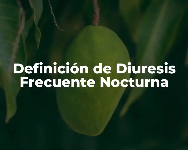 Definición de Diuresis Frecuente Nocturna
