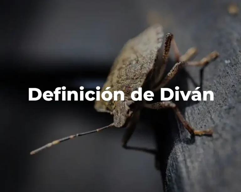 Definición de Diván