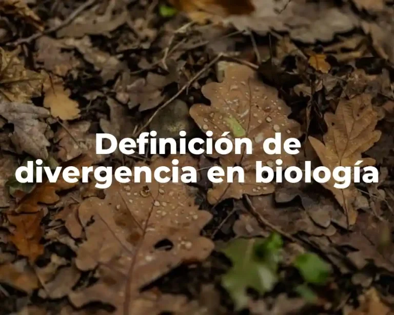 Definición de divergencia en biología