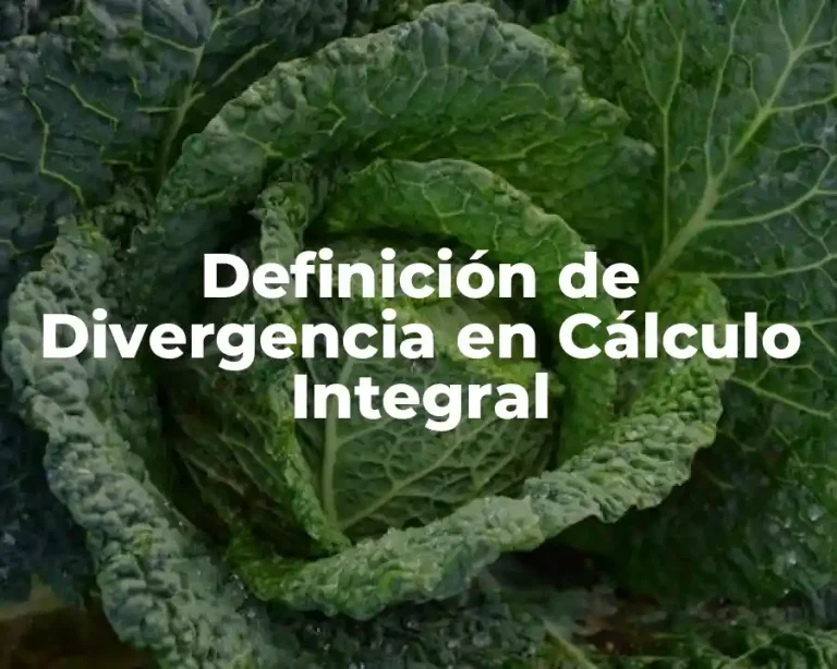Definición de Divergencia en Cálculo Integral