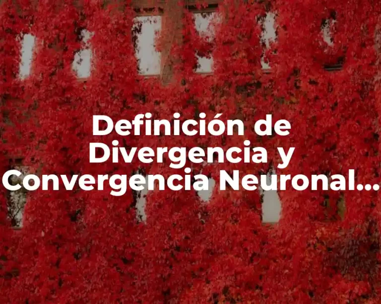Definición de Divergencia y Convergencia Neuronal en la Vida