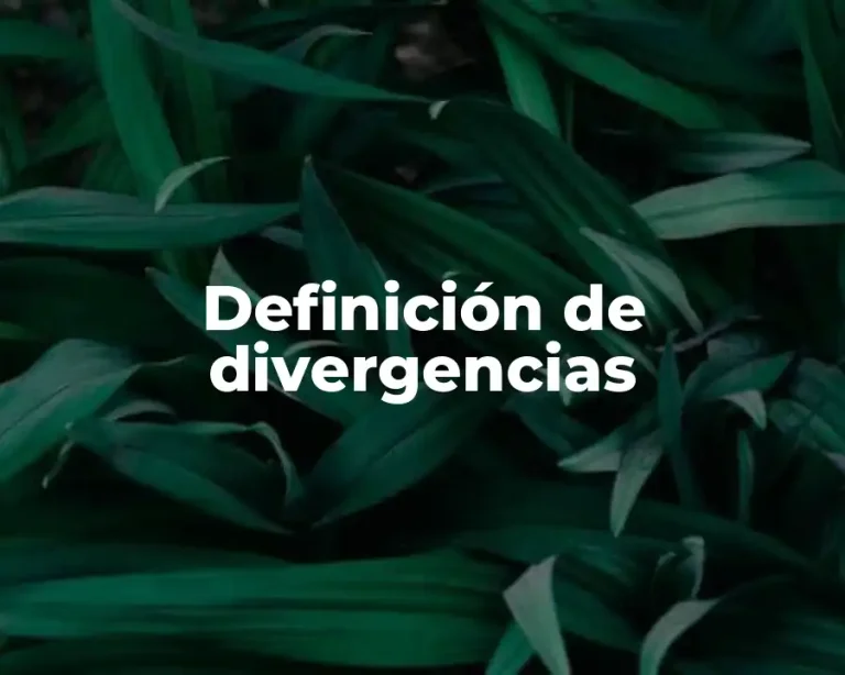 Definición de divergencias