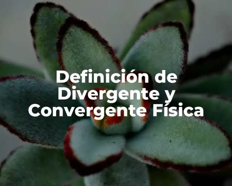 Definición de Divergente y Convergente Física