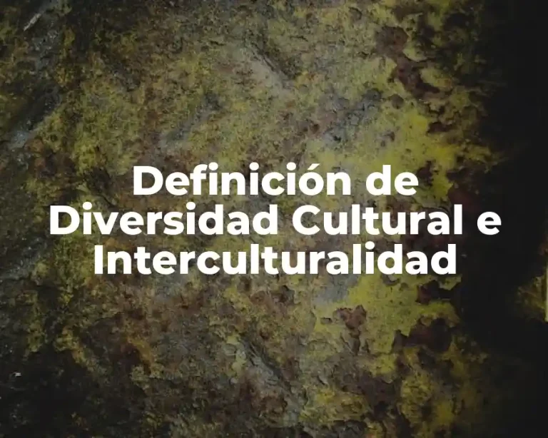 Definición de Diversidad Cultural e Interculturalidad