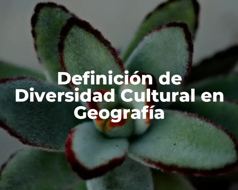 Definición de Diversidad Cultural en Geografía