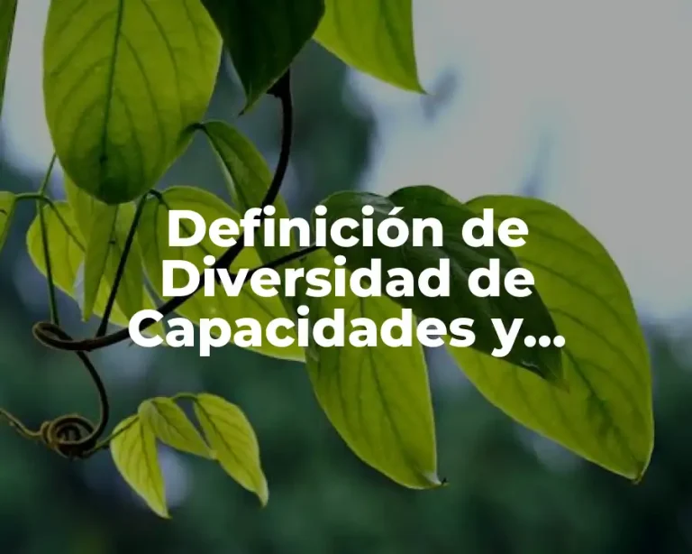 Definición de Diversidad de Capacidades y Discapacidades