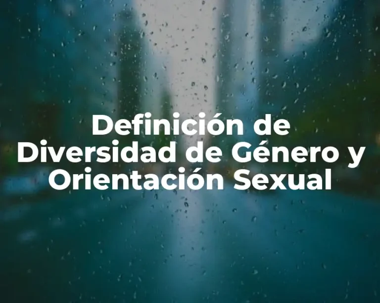 Definición de Diversidad de Género y Orientación Sexual
