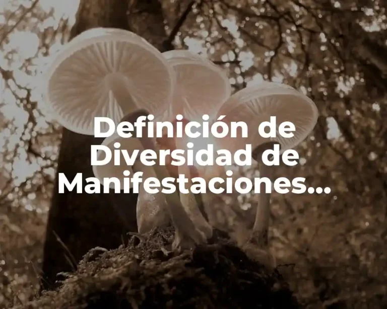 Definición de Diversidad de Manifestaciones Culturales
