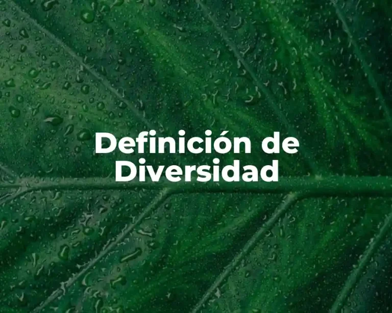 Definición de Diversidad