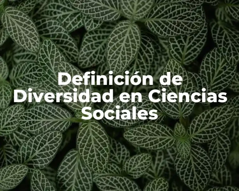 Definición de Diversidad en Ciencias Sociales
