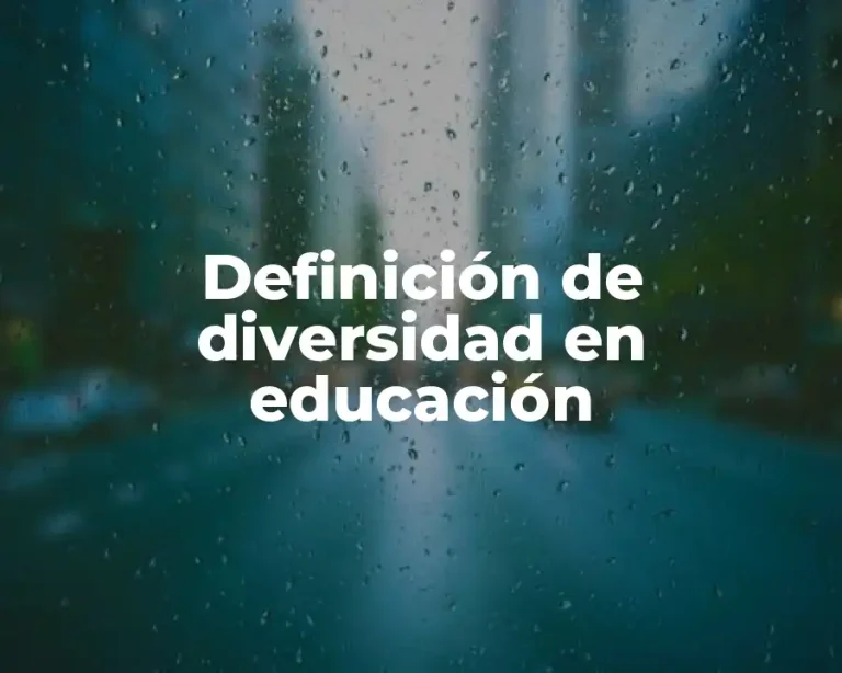 Definición de diversidad en educación