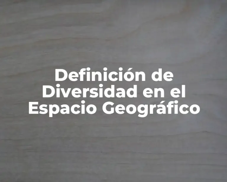 Definición de Diversidad en el Espacio Geográfico
