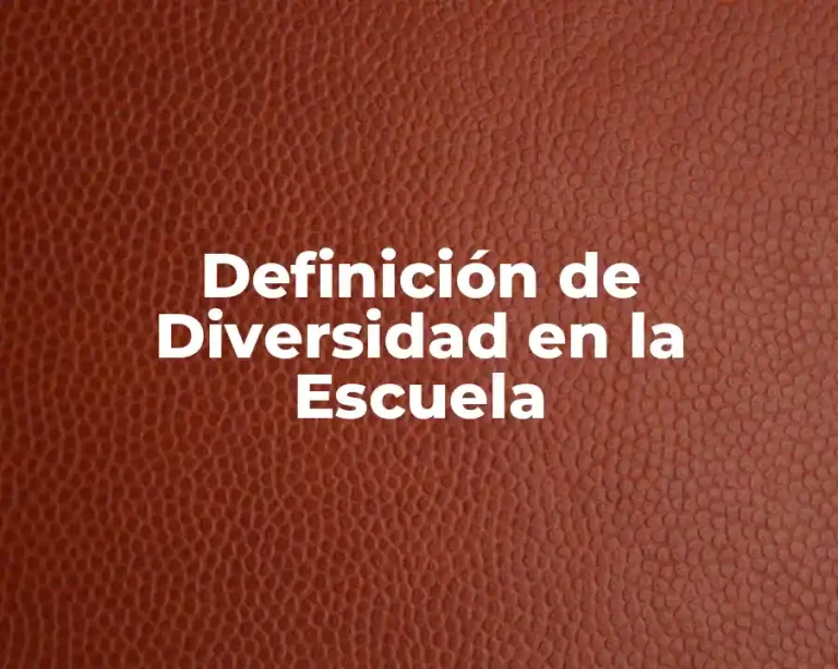 Definición de Diversidad en la Escuela