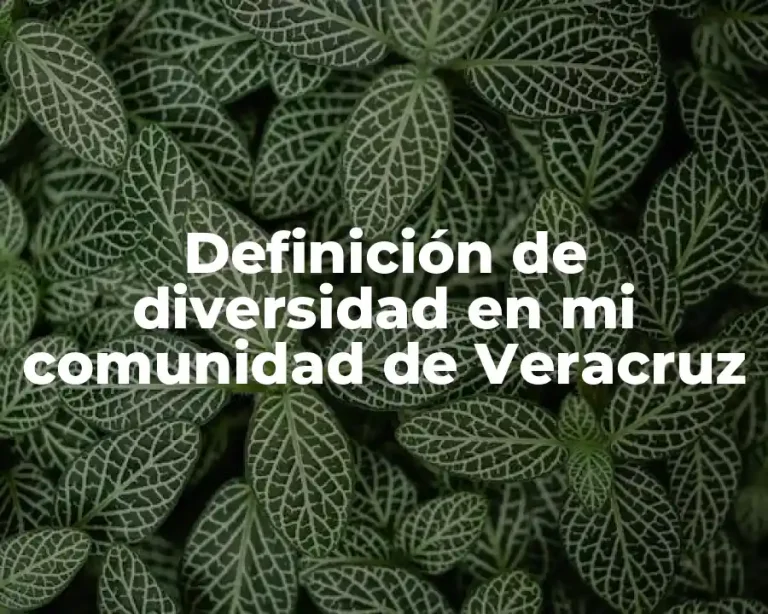 Definición de diversidad en mi comunidad de Veracruz