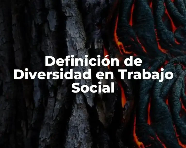 Definición de Diversidad en Trabajo Social